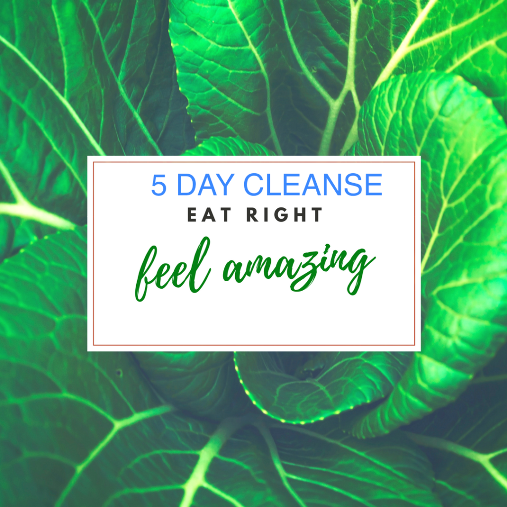 5 Day Cleanse by Health and Harmony Anne